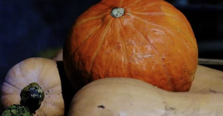 empilement de courges